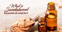 sandalwood Essential Oil