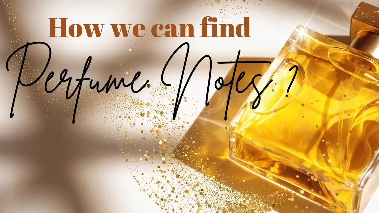 perfume notes