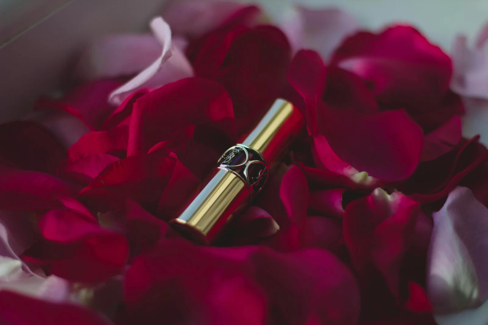 gift guide