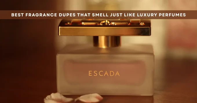 Best Fragrance Dupes That Smell Like Luxury Perfumes
