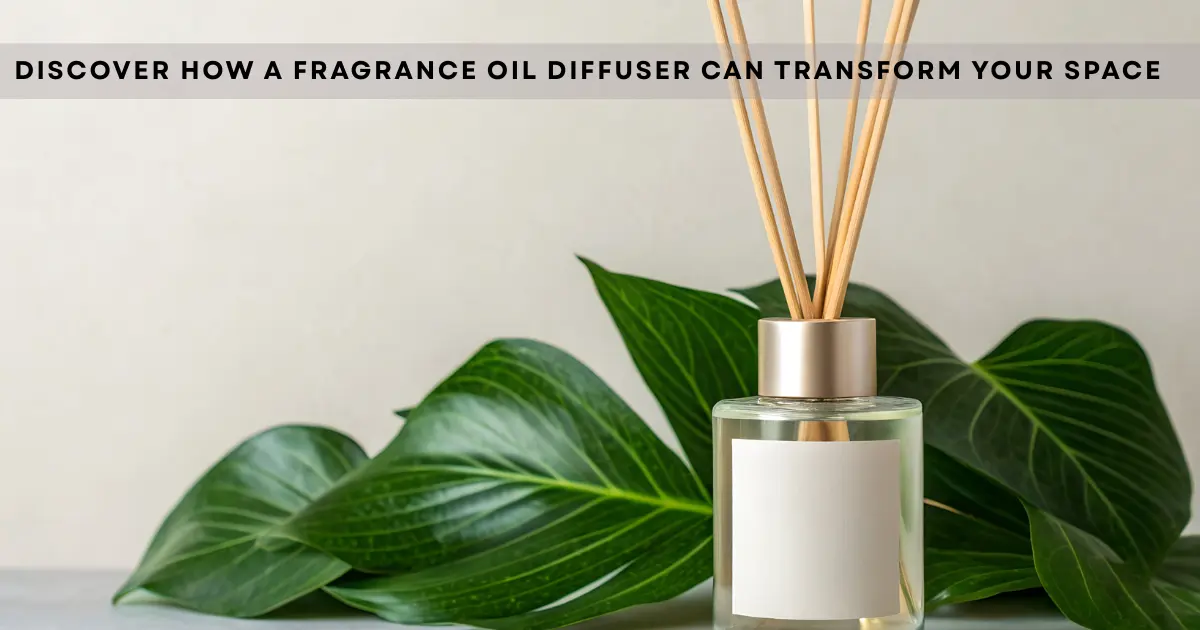 Discover How a Fragrance Oil Diffuser Can Transform Your Space